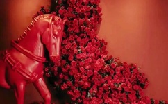 白马啸西风小说下载